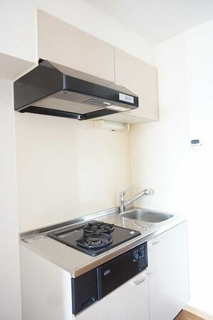 メゾン・アルピナの物件内観写真